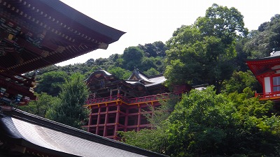 IMGA0016.jpg