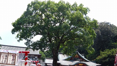 IMGA0018.jpg