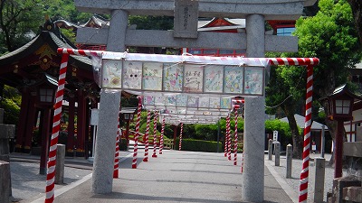 IMGA0990.jpg