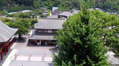IMGA0994.jpg