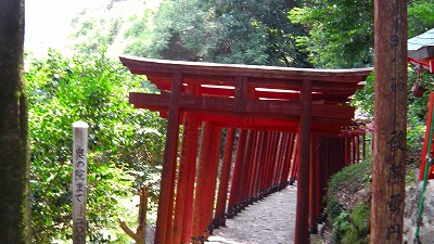 IMGA0002.jpg