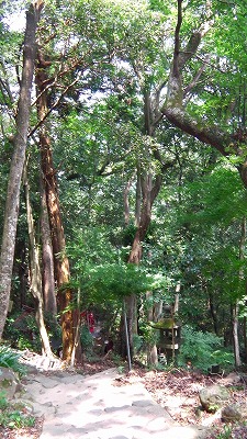 IMGA0006.jpg