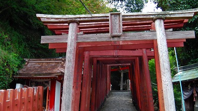 IMGA0999.jpg