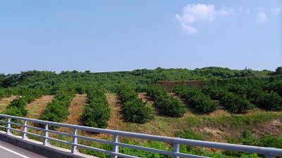 IMGA0059.jpg
