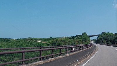 IMGA0063.jpg