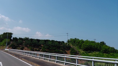 IMGA0081.jpg