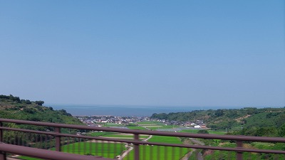 IMGA0084.jpg