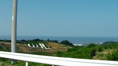 IMGA0104.jpg