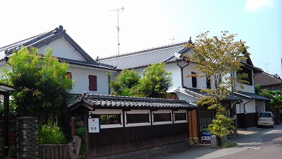 IMGA0189.jpg