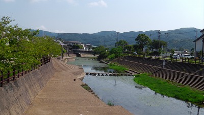 IMGA0202.jpg
