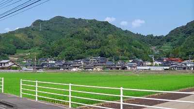 IMGA0210.jpg