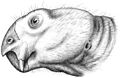 120px-Dicynodont.jpg