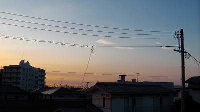 IMGA0038.jpg