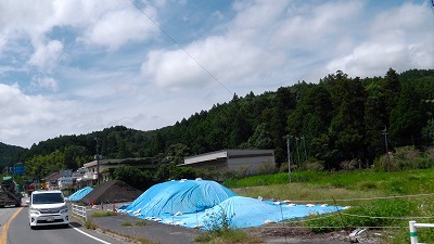 IMGA0014.jpg