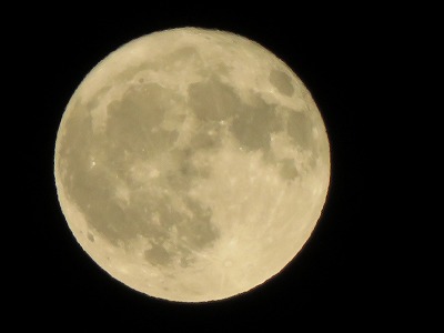 IMG_6237.jpg