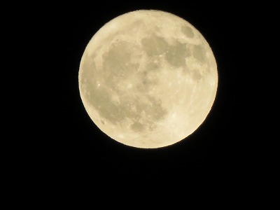 IMG_6249.jpg