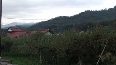 IMGA0019.jpg