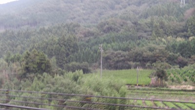 IMGA0039.jpg