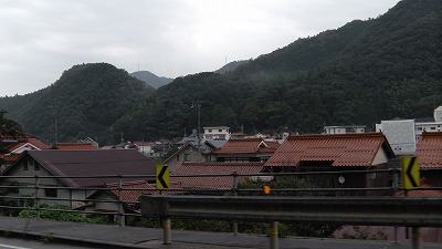 IMGA0041.jpg