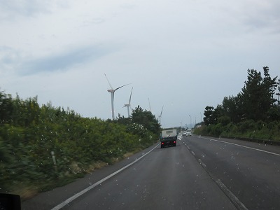 IMG_6354.jpg