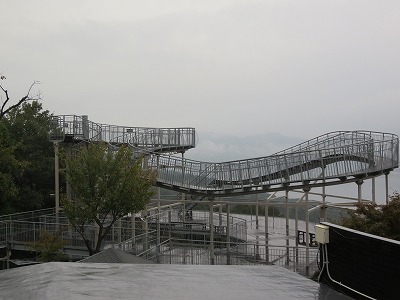 IMG_6432.jpg