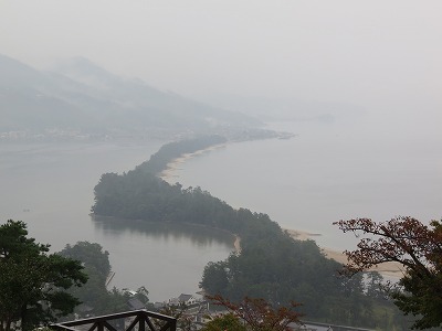 IMG_6439.jpg