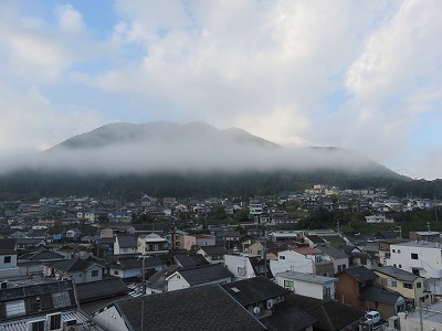 IMG_6480.jpg