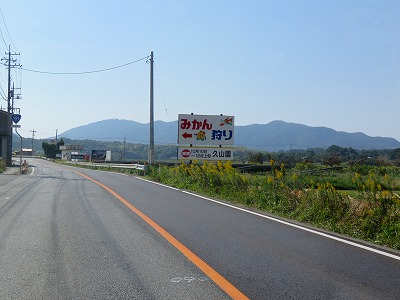 IMG_6518.jpg