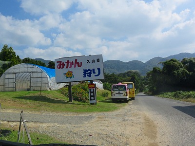 IMG_6522.jpg