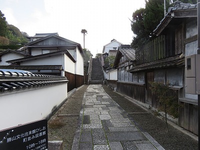 IMG_6699.jpg