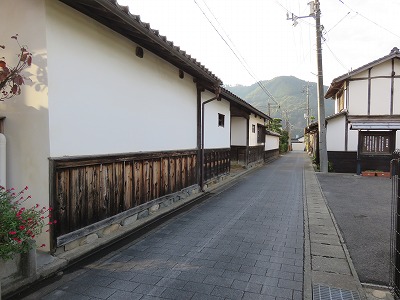 IMG_6709.jpg