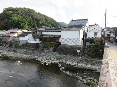 IMG_6724.jpg
