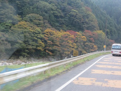 IMG_6658.jpg