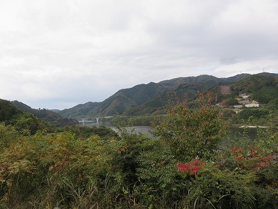 IMG_6752.jpg