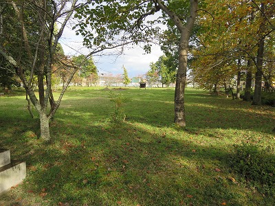 IMG_6778.jpg