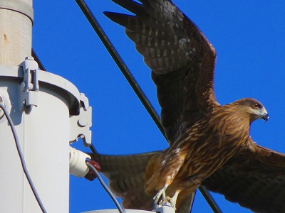 IMG_6812.jpg