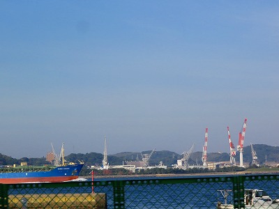 IMG_6890.jpg