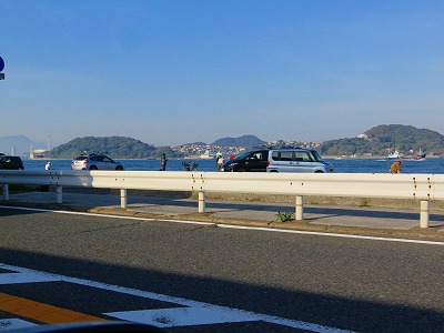 IMG_6895.jpg
