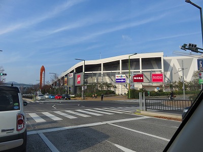 IMG_7040.jpg