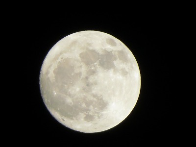 IMG_6982.jpg