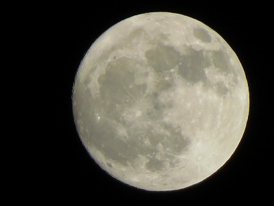IMG_6992.jpg
