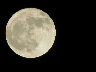 IMG_7012.jpg
