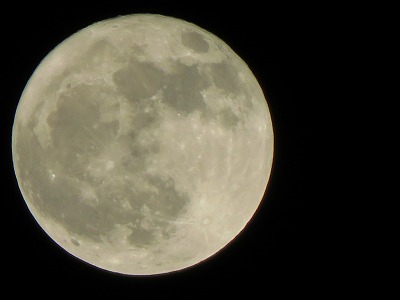 IMG_7028.jpg