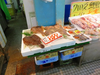 IMG_7239.jpg