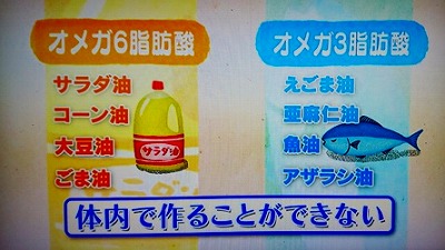 オメガ3脂肪酸.jpg
