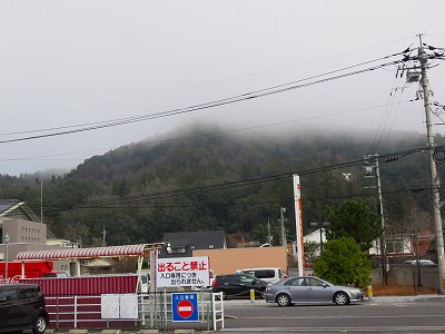 IMG_7370.jpg