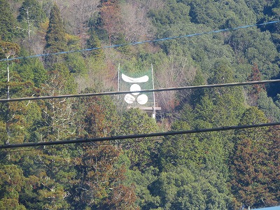 IMG_7372.jpg