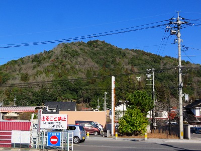 IMG_7373.jpg