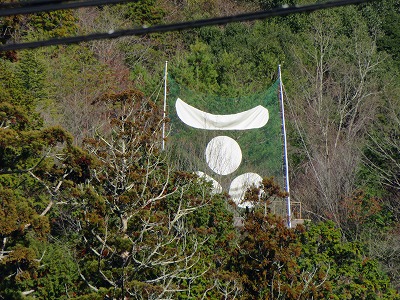 IMG_7374.jpg