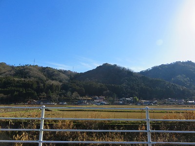 IMG_7377.jpg